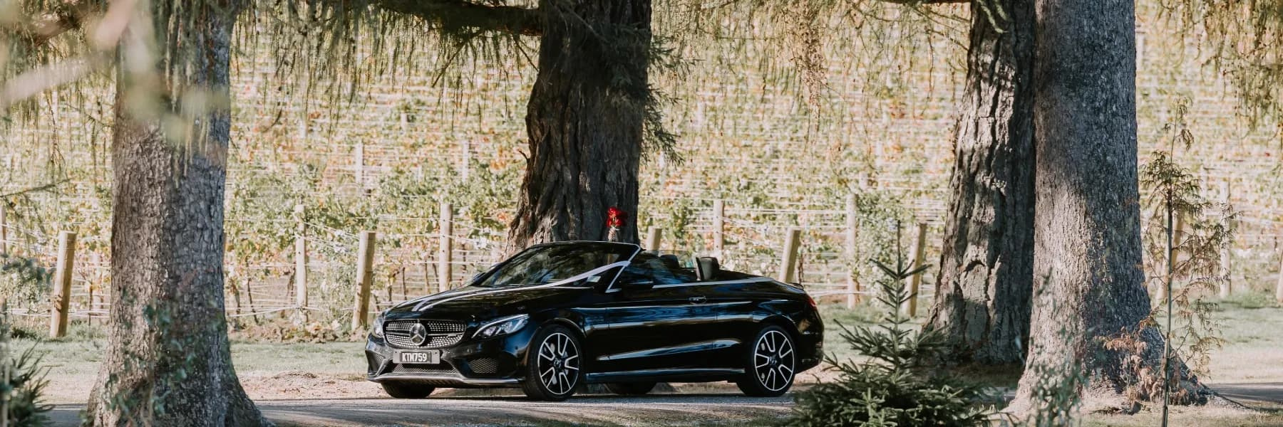 Mercedes-Benz C43 AMG Cabriolet